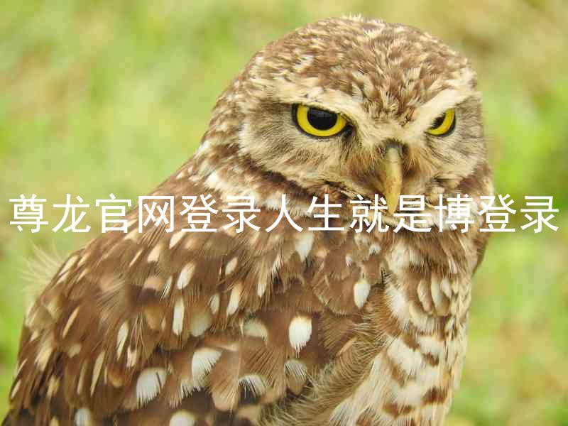 尊龙官网登录人生就是博登录